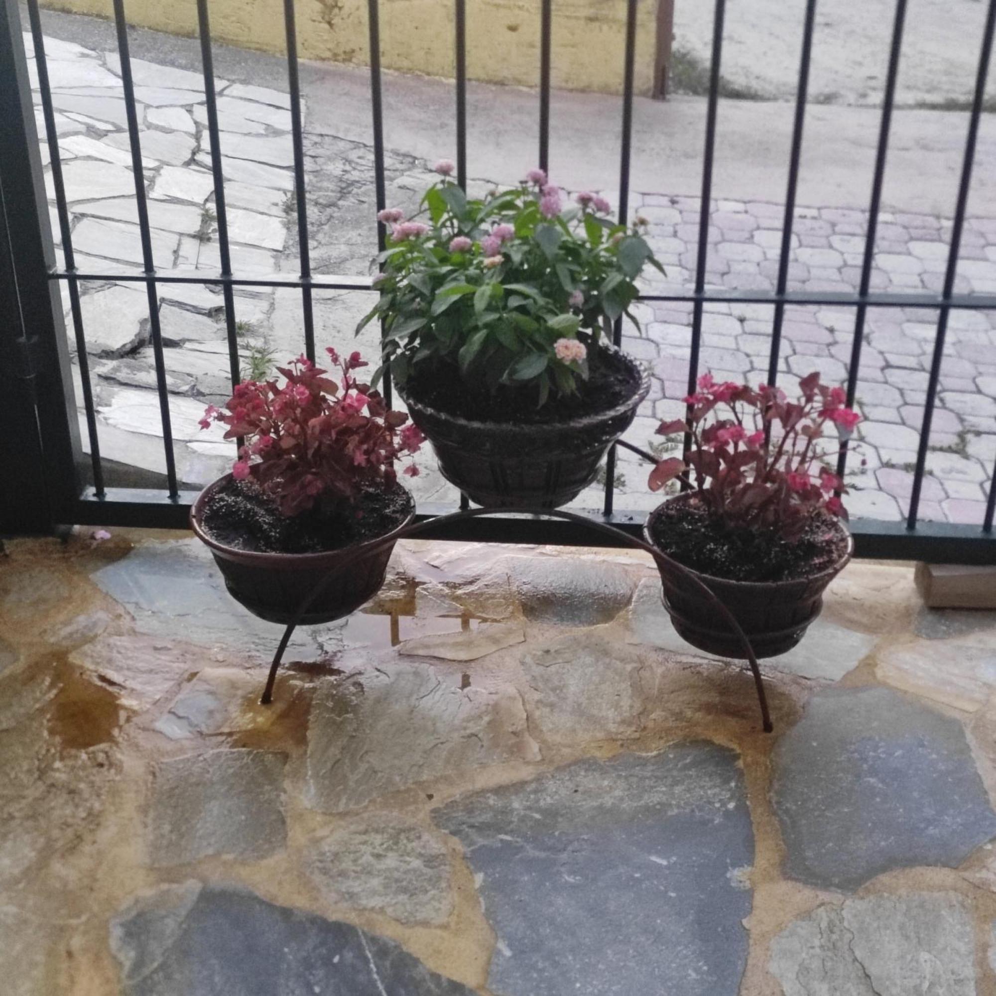 Eleni-Areti Apartman Pefkohóri Kültér fotó